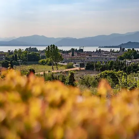 La Collina Degli Ulivi